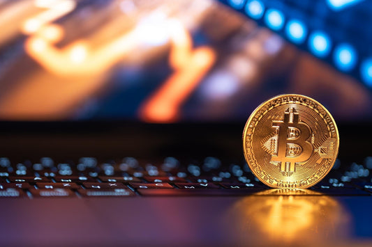 The Story Behind BITCOIN RANCH: Where Blockchain Meets The Country