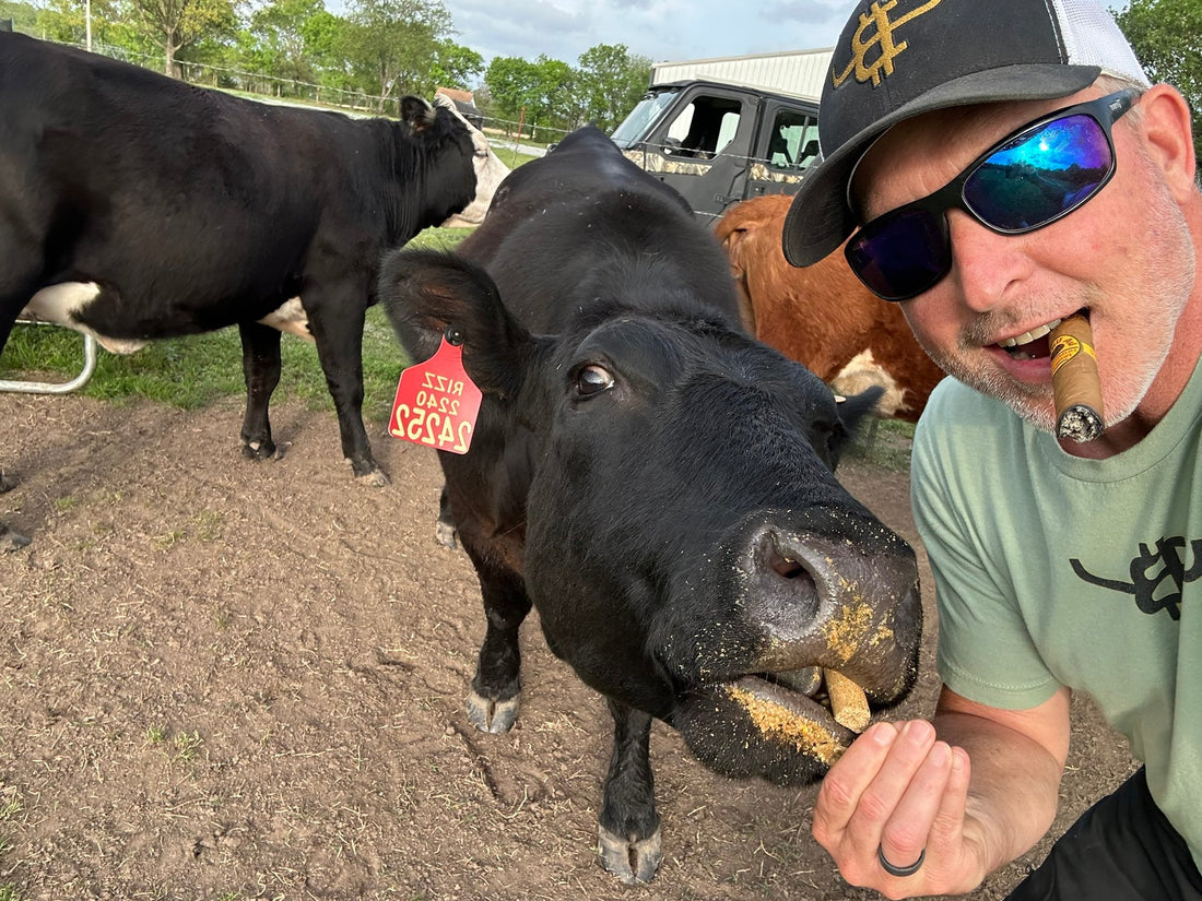Being “Bullish” - The Bitcoin Ranch Way