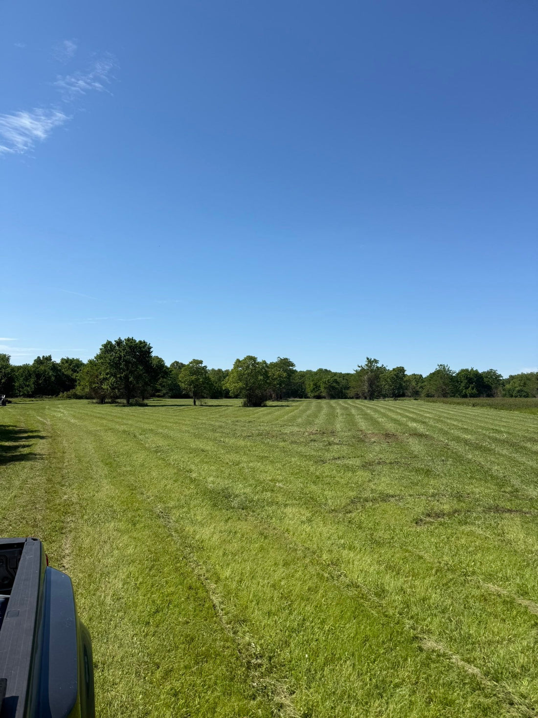 Big Grass for the Big Girls