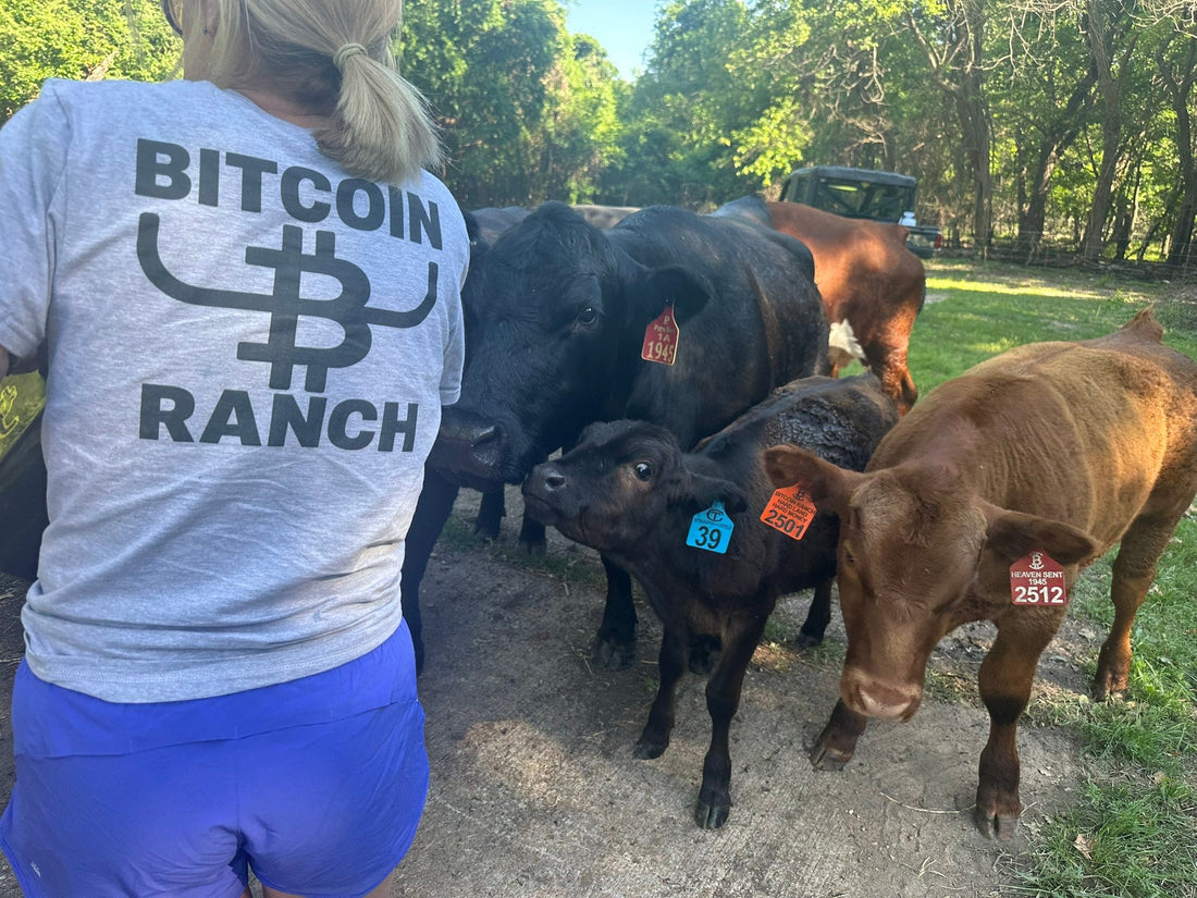 She Loves Feeding the Cows in the Evenings