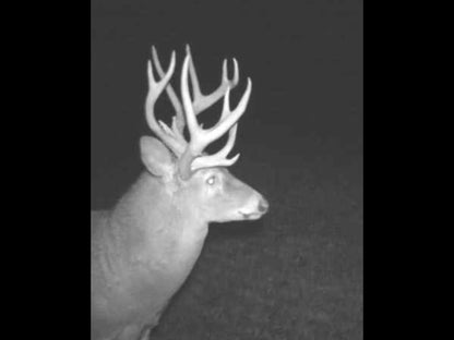 163± Acres with Cabin and Proven Hunting Habitat | Adams County, Illinois