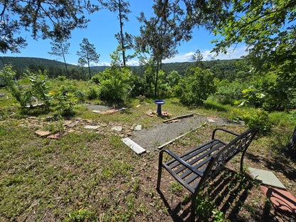 Off-Grid Homestead & Recreational Property