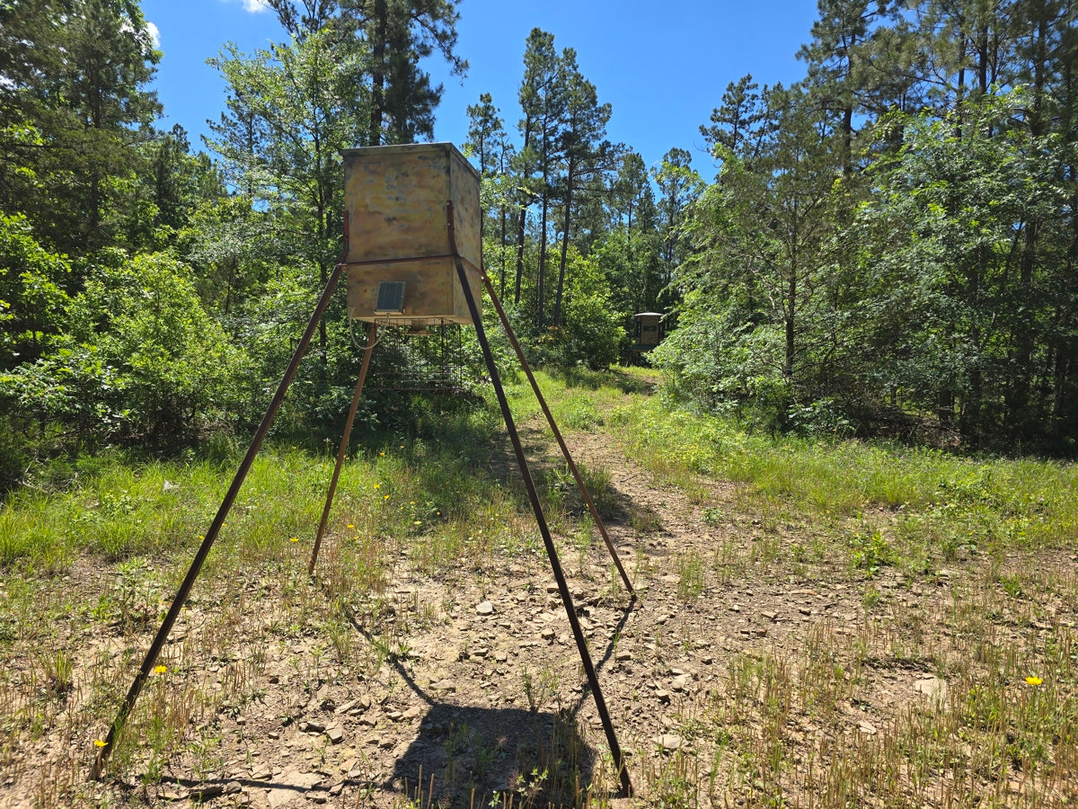 Off-Grid Homestead & Recreational Property