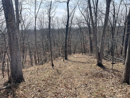 80± Acres Hunting Land with Income & Timber | Fulton County, Illinois