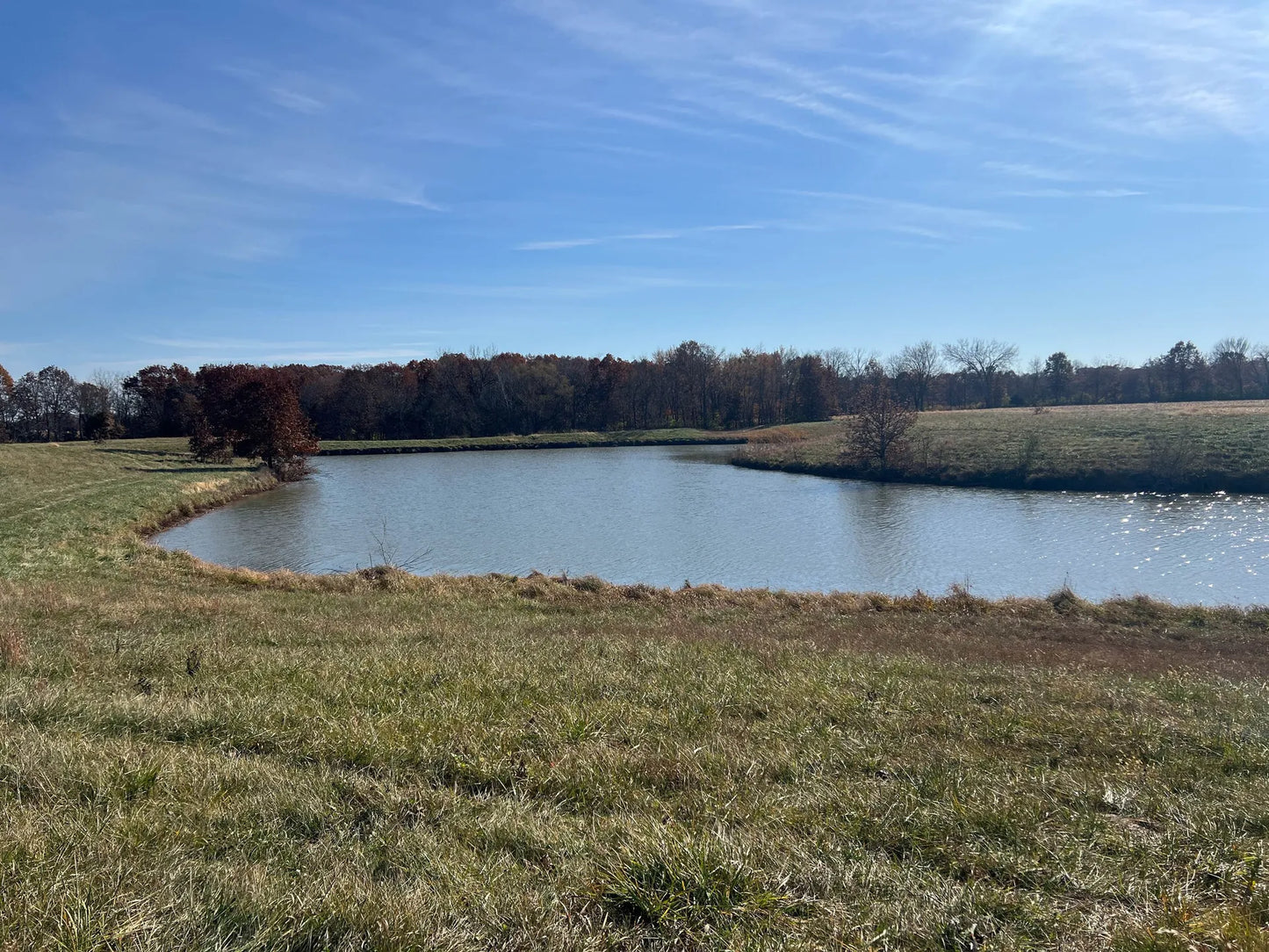 30.4± Acres with Pond, Hunting, and Scenic Build Sites | Brown County, Illinois