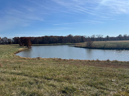 30.4± Acres with Pond, Hunting, and Scenic Build Sites | Brown County, Illinois