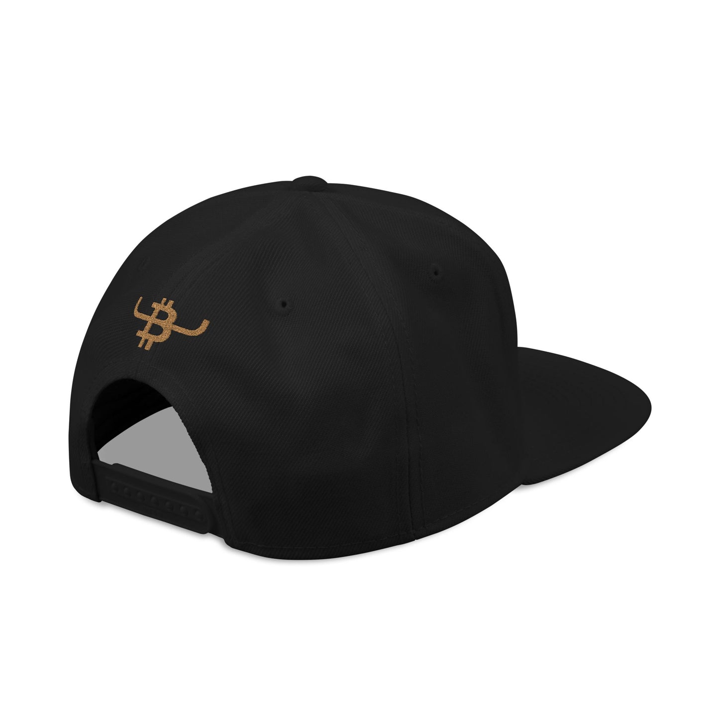 Embroidered Bitcoin Rope Script Snapback Hat