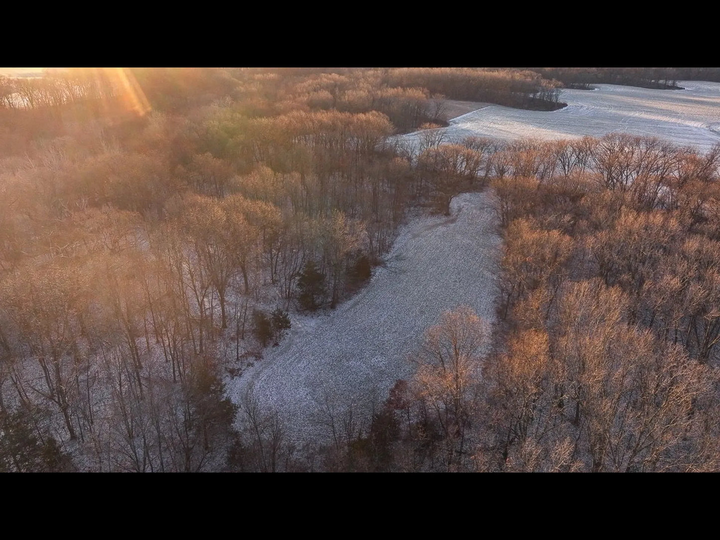 105± Acres with Cabin and Prime Hunting | Adams County, Illinois