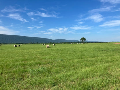 Outstanding Cattle or Hay Production Ranch with River Frontage