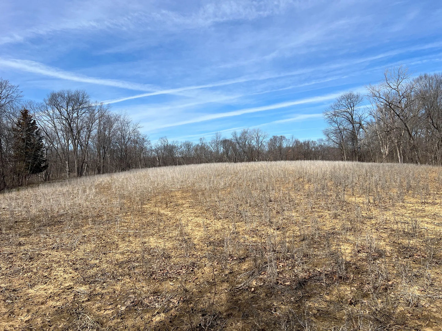 80± Acres Hunting Land with Income & Timber | Fulton County, Illinois