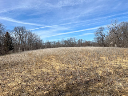 80± Acres Hunting Land with Income & Timber | Fulton County, Illinois