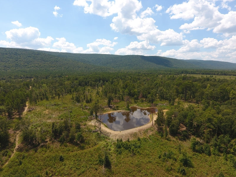 Kiamichi Mountain Homestead Property