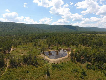 Kiamichi Mountain Homestead Property