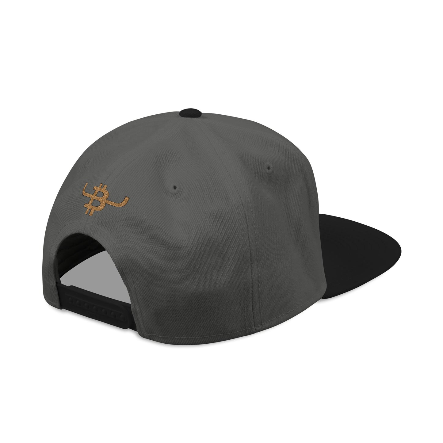 Embroidered Bitcoin Rope Script Snapback Hat