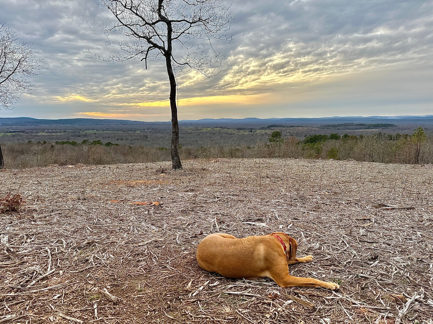 The Panorama Ranch In SE Oklahoma