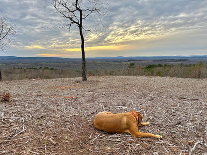 The Panorama Ranch In SE Oklahoma