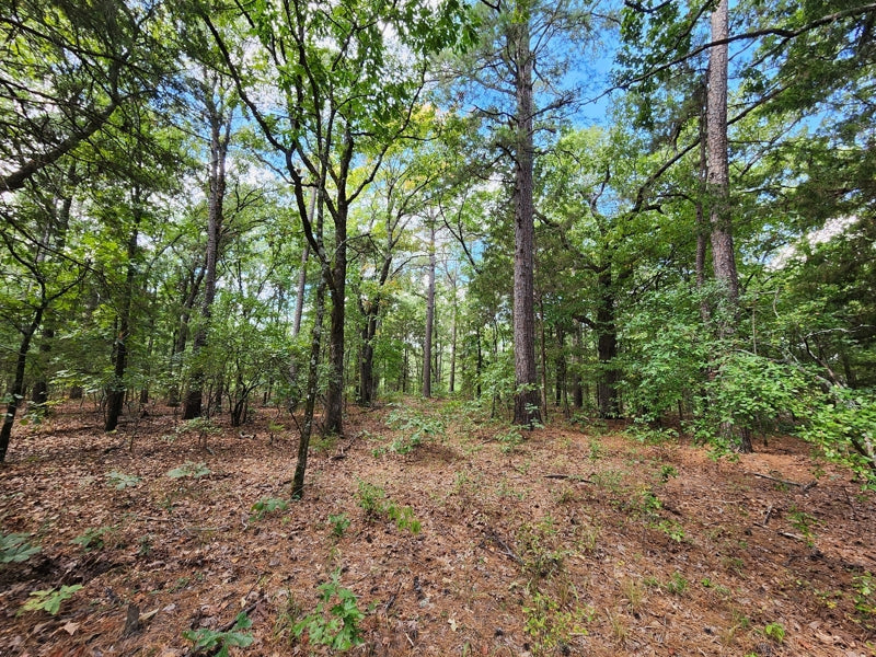 Kiamichi Mountain Homestead Property