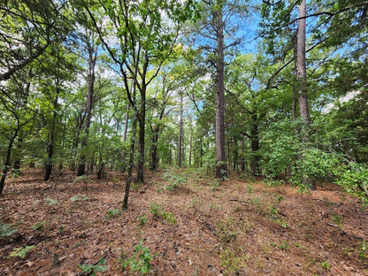 Kiamichi Mountain Homestead Property