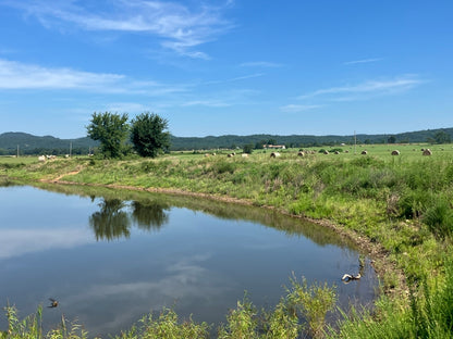 Outstanding Cattle or Hay Production Ranch with River Frontage