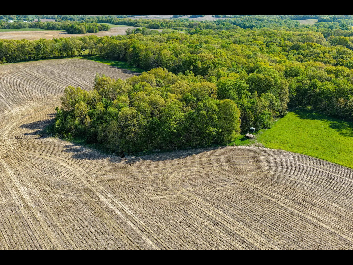 163± Acres with Cabin and Proven Hunting Habitat | Adams County, Illinois