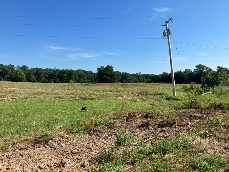 Outstanding Cattle or Hay Production Ranch with River Frontage
