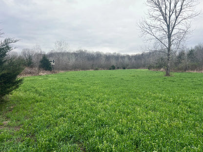 45± Acres in Schuyler County, Illinois | Premier Hunting Property with Food Plots & Timber