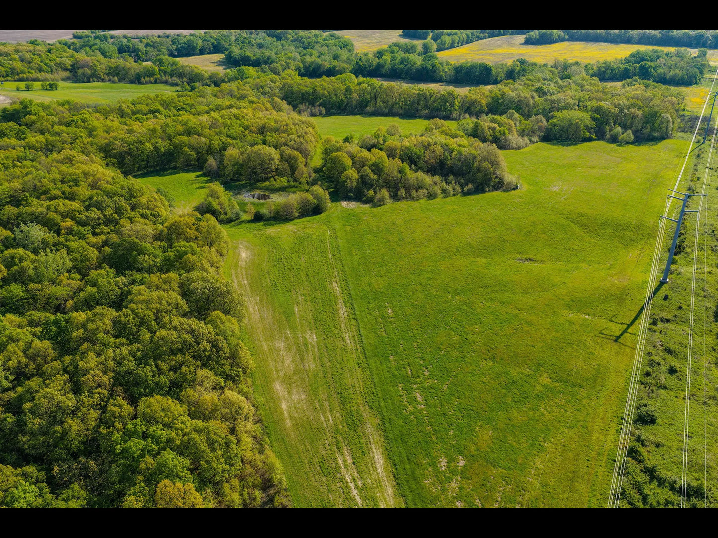 163± Acres with Cabin and Proven Hunting Habitat | Adams County, Illinois