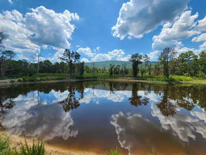 Kiamichi Mountain Homestead Property