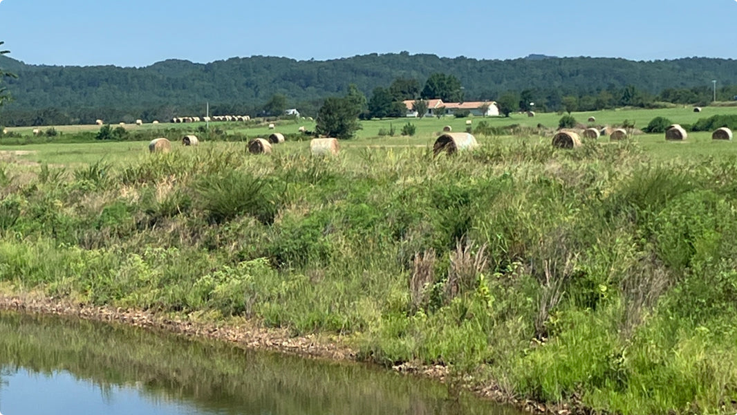 Outstanding Cattle or Hay Production Ranch with River Frontage