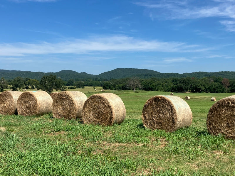 Outstanding Cattle or Hay Production Ranch with River Frontage
