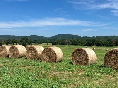Outstanding Cattle or Hay Production Ranch with River Frontage