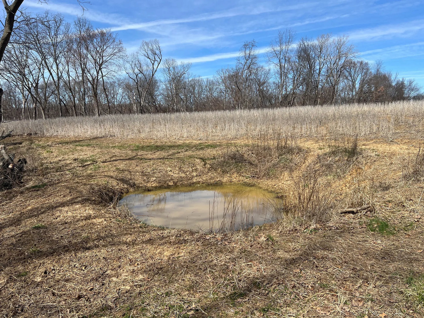 80± Acres Hunting Land with Income & Timber | Fulton County, Illinois