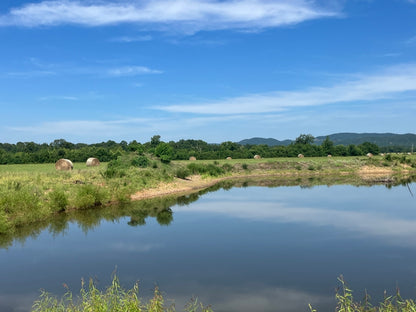 Outstanding Cattle or Hay Production Ranch with River Frontage