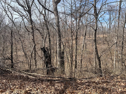 80± Acres Hunting Land with Income & Timber | Fulton County, Illinois