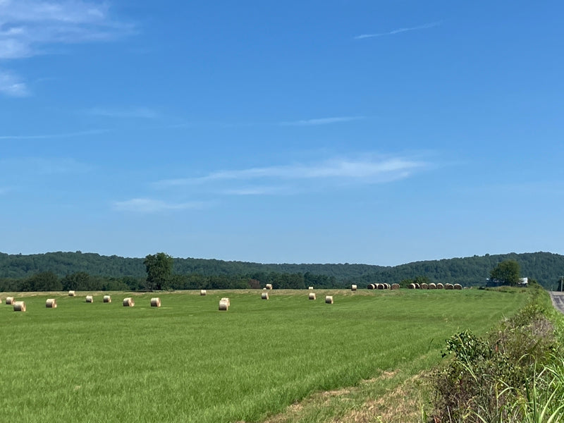 Outstanding Cattle or Hay Production Ranch with River Frontage