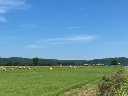 Outstanding Cattle or Hay Production Ranch with River Frontage