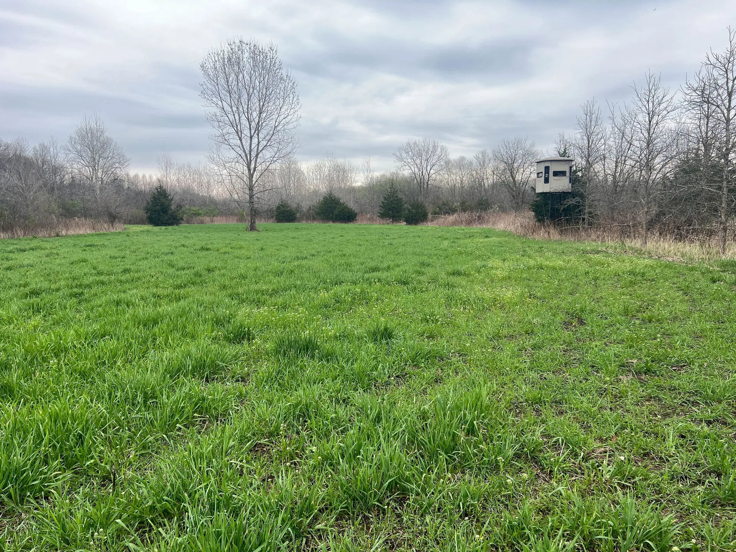 45± Acres in Schuyler County, Illinois | Premier Hunting Property with Food Plots & Timber