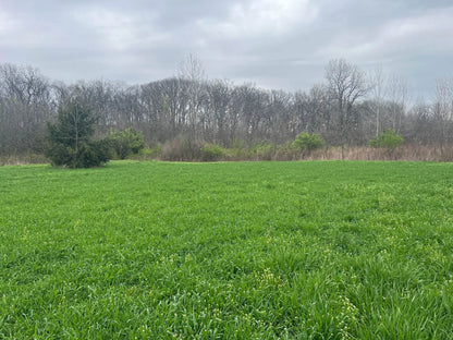 45± Acres in Schuyler County, Illinois | Premier Hunting Property with Food Plots & Timber