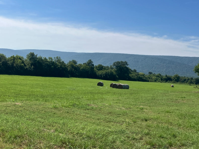 Outstanding Cattle or Hay Production Ranch with River Frontage