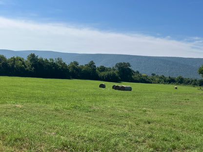 Outstanding Cattle or Hay Production Ranch with River Frontage