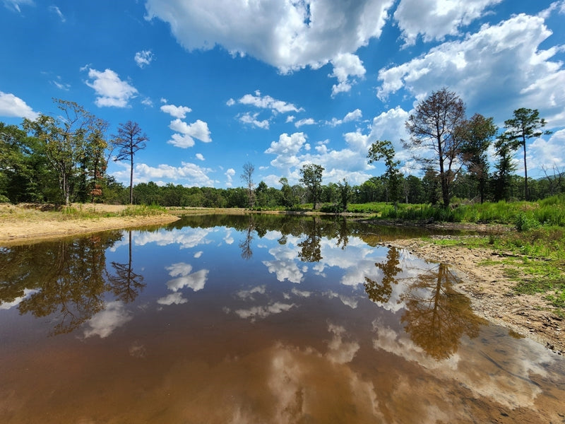Kiamichi Mountain Homestead Property