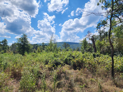 Kiamichi Mountain Homestead Property